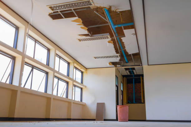Best Water damage cleanup near me  in Hamilton, GA