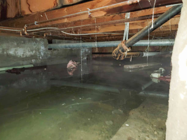 Best Ceiling water damage repair  in Hamilton, GA