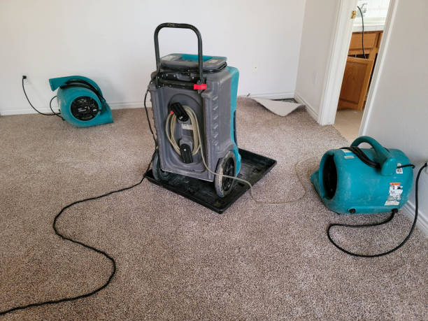 Best Commercial water damage restoration  in Hamilton, GA